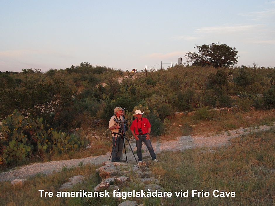 Frio Cave